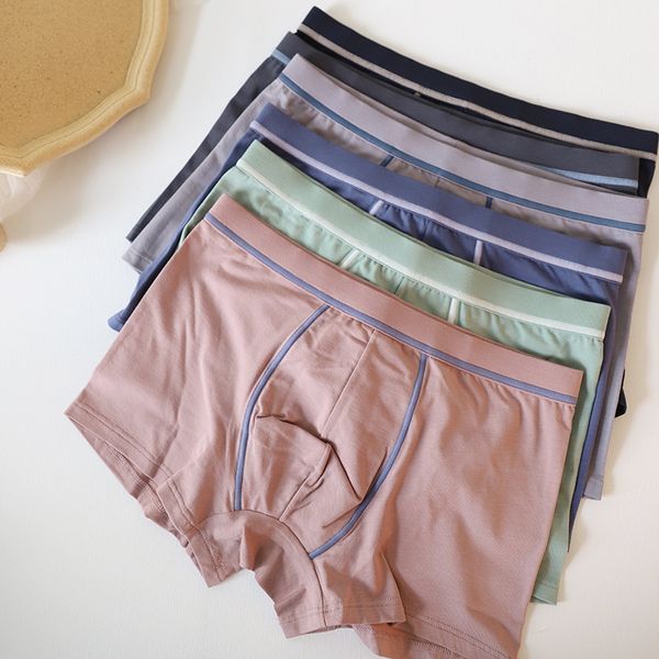 

quality of new summer soft cotton boxers plus size casual japanese fashions pure male underpants n2050 s2g0, Black;white