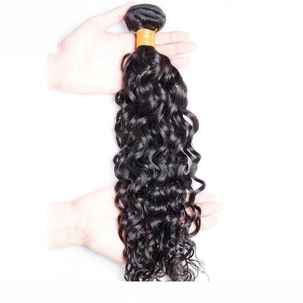 

9a grade braiding ress water wave raw cuticle aligned virgin human hair bundles wavy curly hair, Black