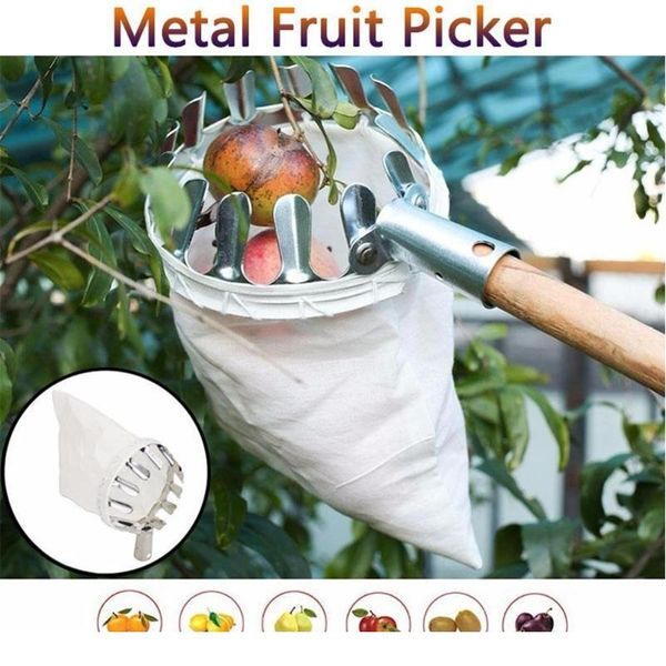 

metal fruit picker orchard gardening peach high tree picking tools without pole fruit catcher collector for garden bbycir