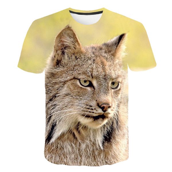 

t shirt t-shirt v-strom dl 650 1000