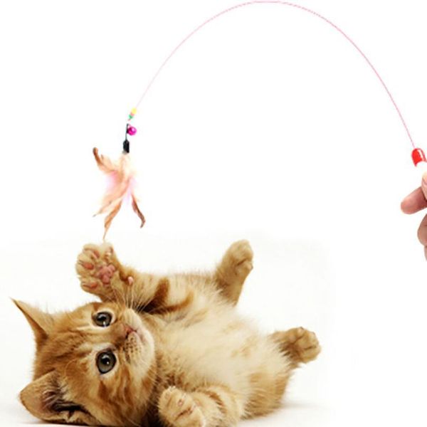 

cat toys steel wire feather interactive cat stick training kitten wand toys with beads bells fun kitten toys pet jllate