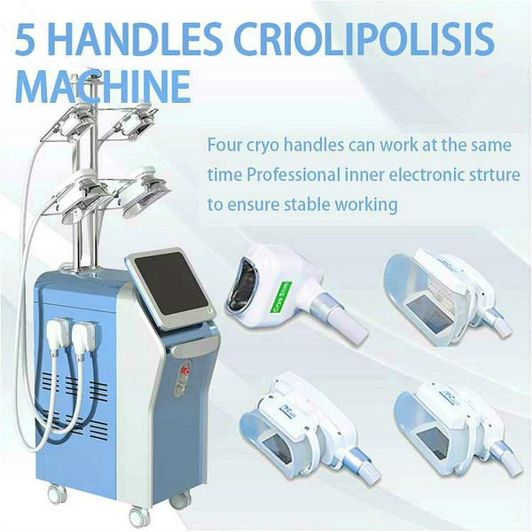 

2020 factory price cryolipolysis cellulite system fat e cryolipolysis machine germany handles cryotherapy system with 5 handle