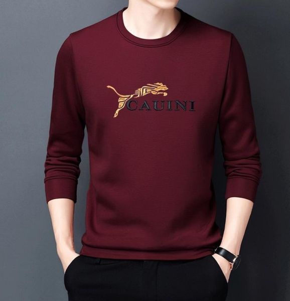 

bulky plush meticulous thick, warm not embroidery autumn and winter men's sports leisure pullover, Gray