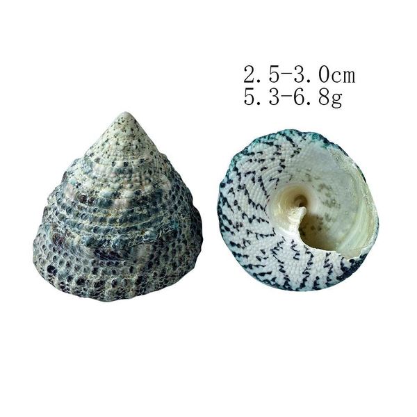 

2pcs 2 3cm green tower seashell snail green natural conch fish tank landscape shellfish hermit crab shell specimens decor craft h bbytnr