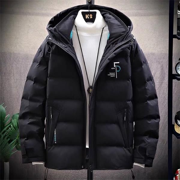 

men winter down jacket luxury feather hooded 2020 winter jacket coat windproof fear of god true religions men's outerwear, Black