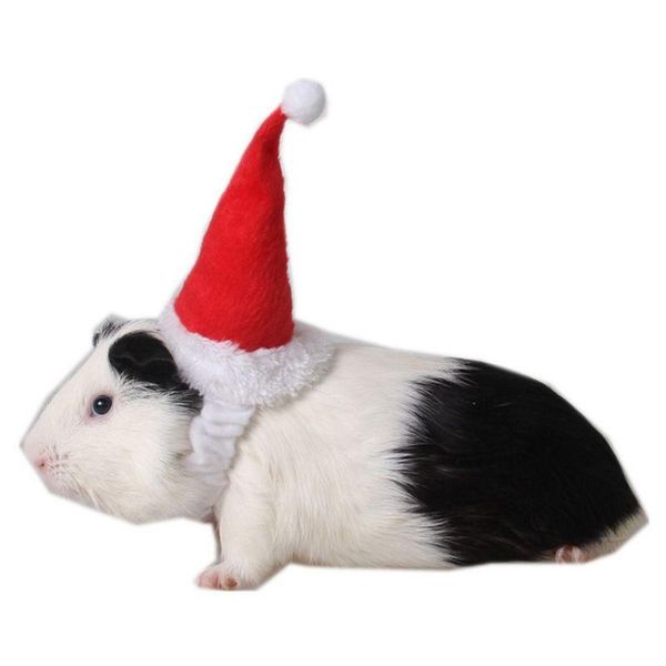 

dog apparel small animals pet santa claus hat hamster rats christmas cap b0kb