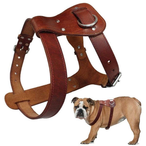 

dog collars & leashes genuine leather harness brown real dogs walking training vest adjustable straps medium large pitbull boxer mastiff