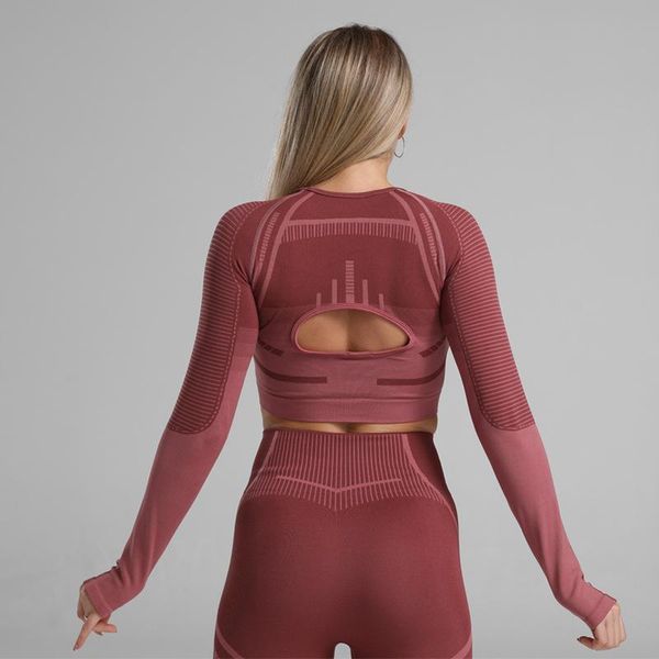 

бесшовные 2pcs комплекты йога для женщин с длинным рукавом crop top fitness бесшовные леггинсы наборы workout gym одежда активный центр подх