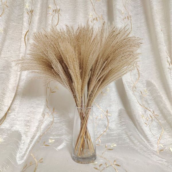 

30 stems pampas grass fluffy reed dried flower wedding decor home office decoration