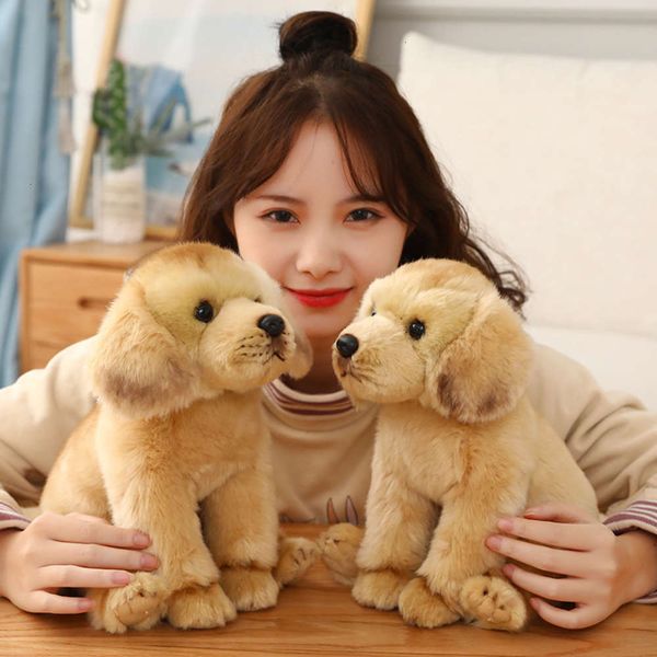 

labrador dog doll plush toy simulation