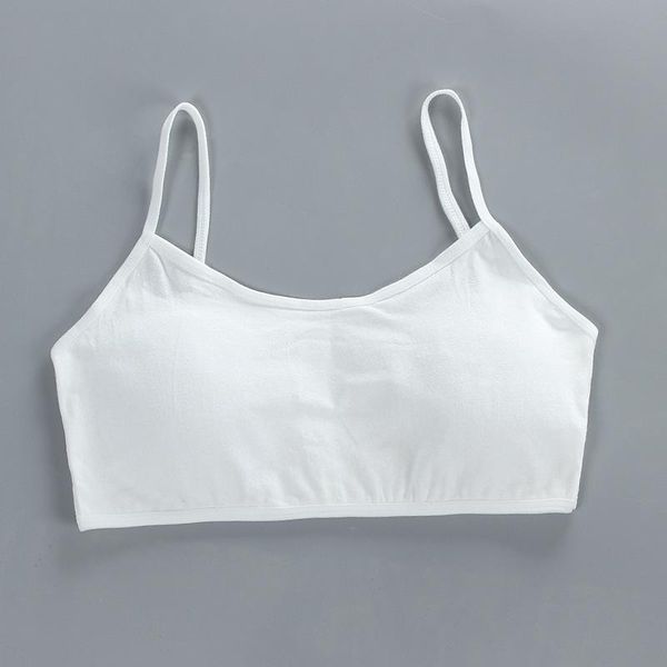 

gym clothing women high-quality fitness yoga sports bra for running padded wire shake proof underwear seamless bras, White;black