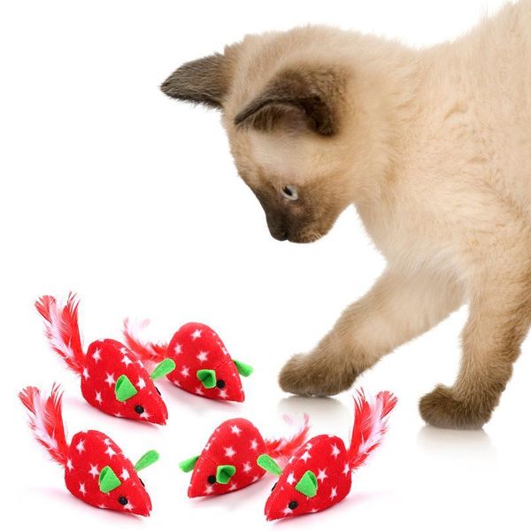 

5pcs cute cat toys plush fur toy catnip mouse pet kitten funny rat feather plush little mouse interactive toy for c qylgbo