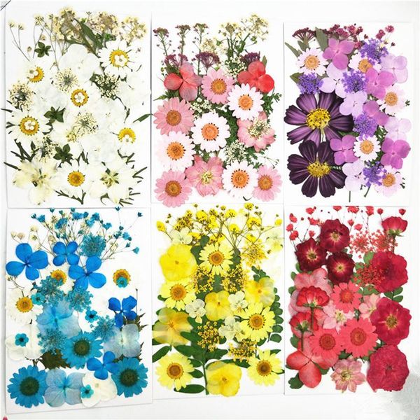 

15-21pcs 1 bag small dried flowers pressed flowers diy preserved flower decoration home mini bloemen1