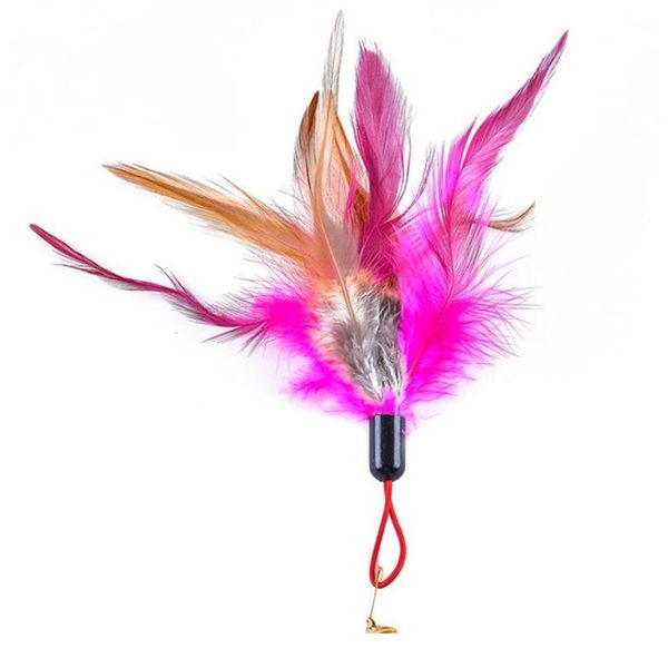 

legendog 1pc colorful cat teaser replacement creative faux feather cat training toy cat play toy pet supplies rand qylshn