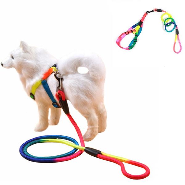 

soft pet dog collar colorful rainbow harness leash walking harness lead colorful and durable traction rope nylon pet dog supplie