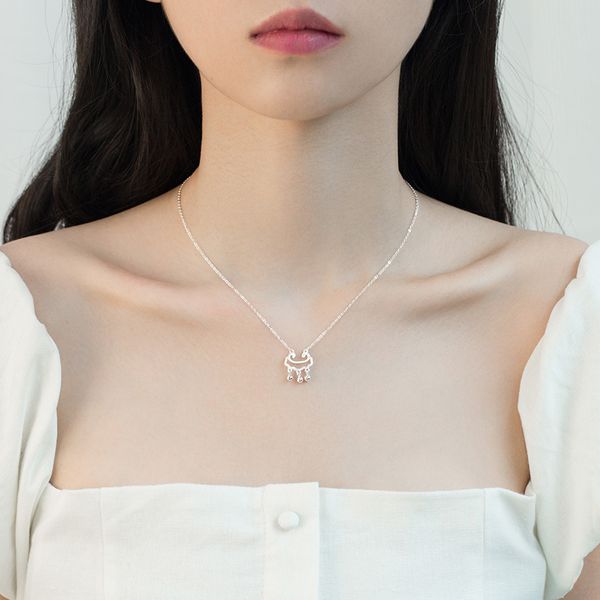

s925 pure silver safety necklace 2020 new women's long life lock pendant light luxury, high design sense