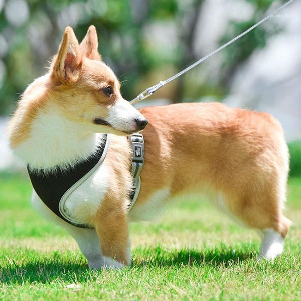 

dog collars & leashes adjustable size outdoor walking metal clip safe pet vest with reflective strap universal soft training easy control ha