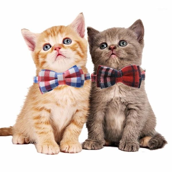 

dog collars & leashes lattice pet cat collar cute bow tie with silver bell puppy for small kitten 2021 fashion tools#151