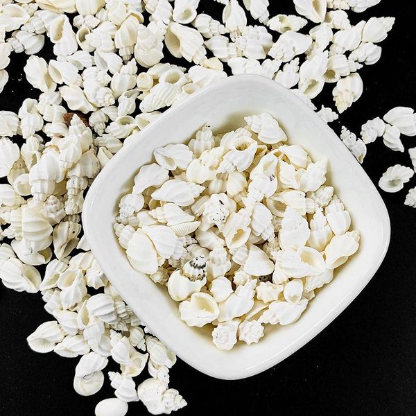

100g natural white conch shell aquarium fish tank landscape mini conch seashells diy nautical home decor specimen wedding decor h bbyrrq