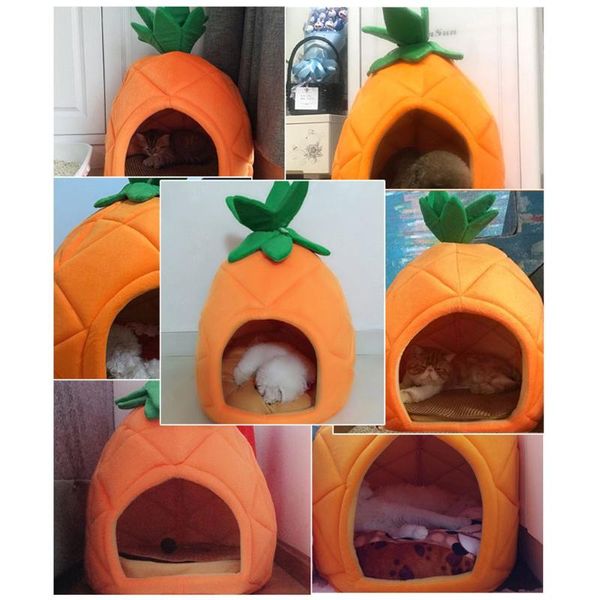

cat beds & furniture cute pineapple fruit styling pets bed kennel litter pet nest room four seasons universal
