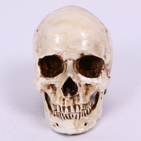 

rywel head crafts 1 1 skull resin model r and props collection pendant prop shooting television coffee shop pendant collection props pendulu