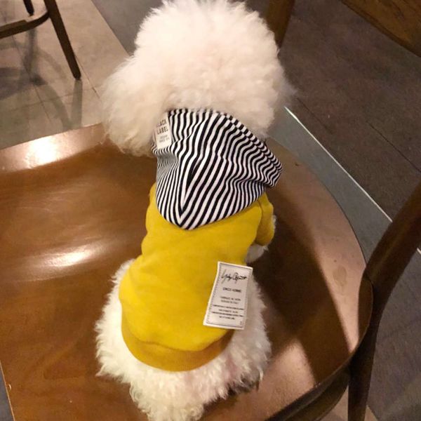 

ebaerr spring 2020 striped hat korean tethered cute fashion pet dog cloth