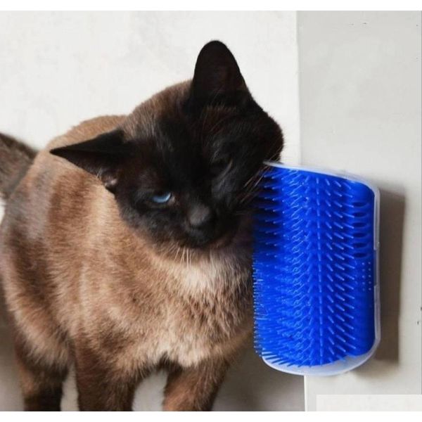 

pet home massager brush groomer grooming trimming hair removal massage tools for pet cat qylhtx dh_seller2010