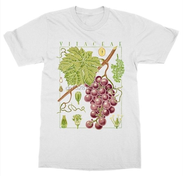 

short sleeve o-neck grape t-shirt botanical garden plant print art botany bloom fruit flower grow t shirt sport hooded sweatshirt hoodie