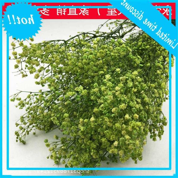 

immortal all over the sky star natural air dried flowers home bedroom diy art flower arrangement kunming