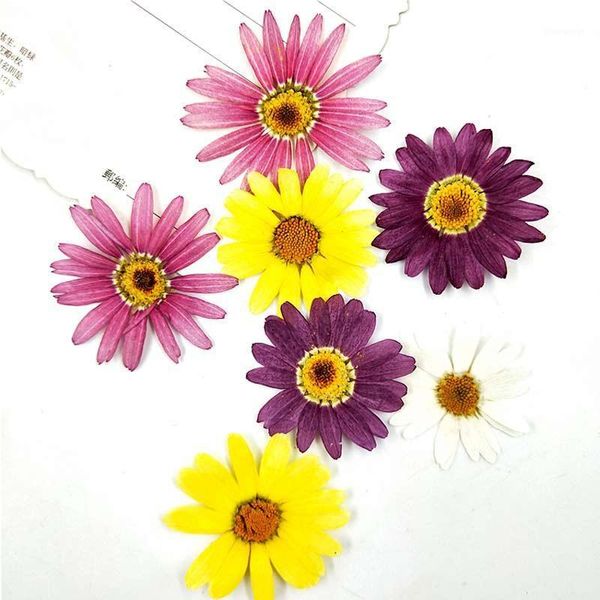 

2020 great margaret dried flower art for party festive decoration ent 1lot/80pcs1