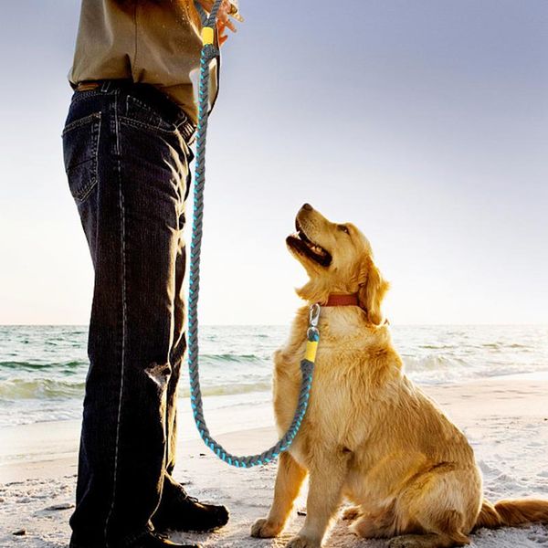

5ft nylon pet dog leash puppy dog leash walking training lead leashes for small dogs cats leashes belt long dog st sqcffe