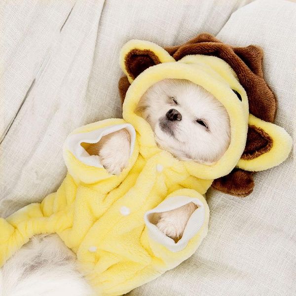 

pet dog clothes flannel fabric small animal shape autumn winter small dogs cats pure cotton warm clothing