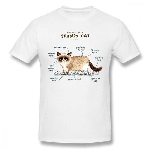 

anatomy of a cat t-shirt for men dropshipping short sleeve cotton plus size custom team tee 4xl 5xl 6xl sport hooded sweatshirt hoodie