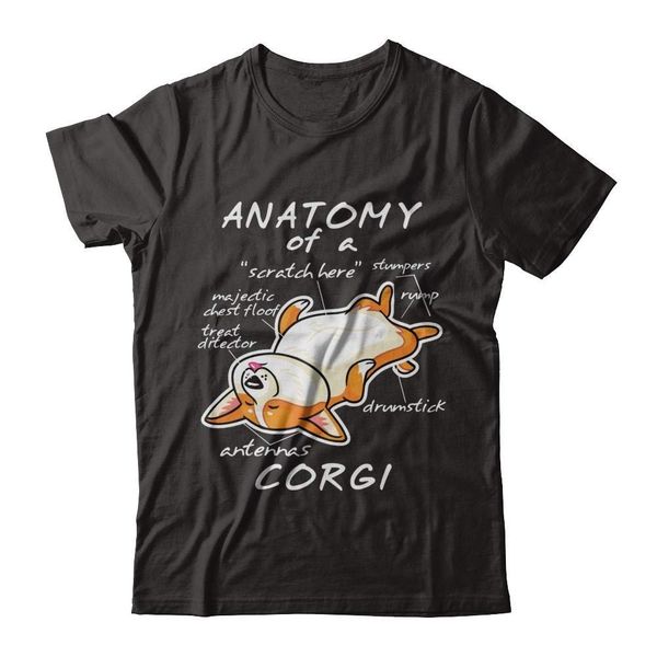 

teely shop 's kid's anatomy of a corgi funny dog costume next level fitted fashion summer t shirts sport hooded sweatshirt hoodie