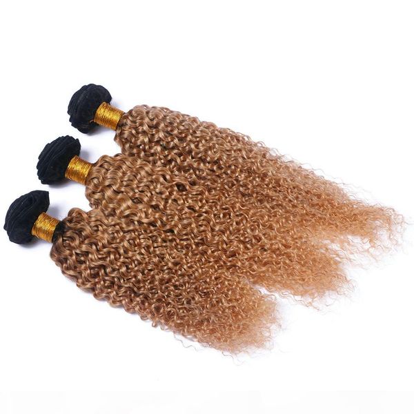 

8а deep ombre малазийского curly волосы девственницы 3шт много honey blonde связки 1b 27 глубокая волна ombre бразильский human virgin hair, Black;brown