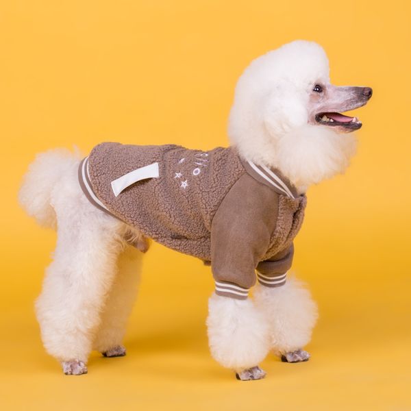 

pet clothing autumn and winter cross-border new cashmere cotton teddy dog coat clothing factory direct sales