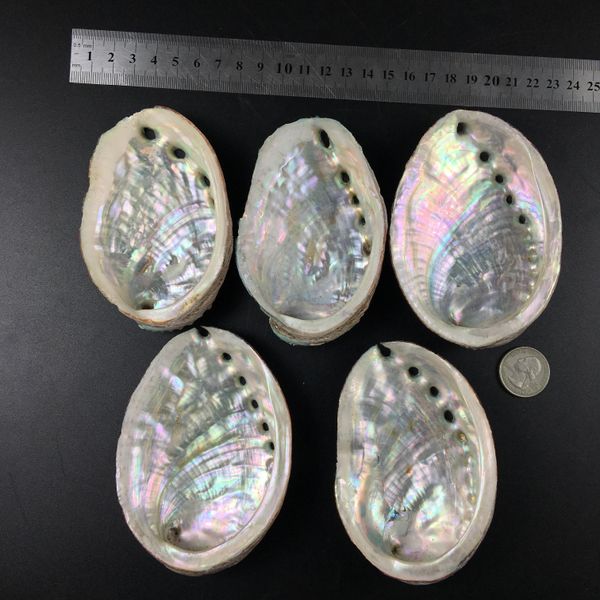

natural abalone shells seashells home aquarium landscape diy nautical decor soap holder 9 10cm craft collectable jewelry holder h wmtvgs