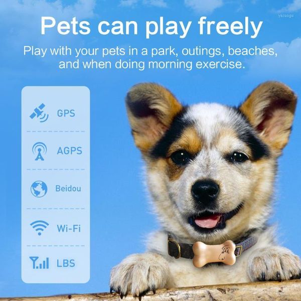 

2g smart gps pet dogs tracker waterproof security with collar for android ios mini gps cat tracker anti-lost kids finder1