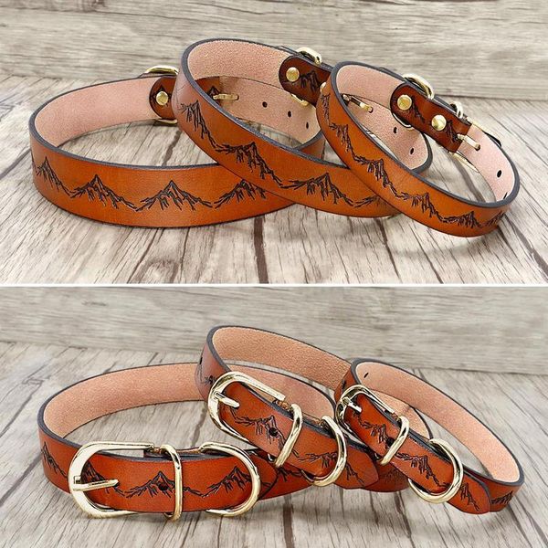 

genuine leather dog collar and leash set durable pet walking training collar leash for medium large dogs german sqcweg