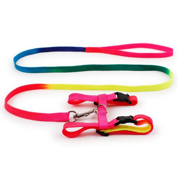 

nylon cute pet sling, collar rainbow assembly and adjustable cat rabbit sling