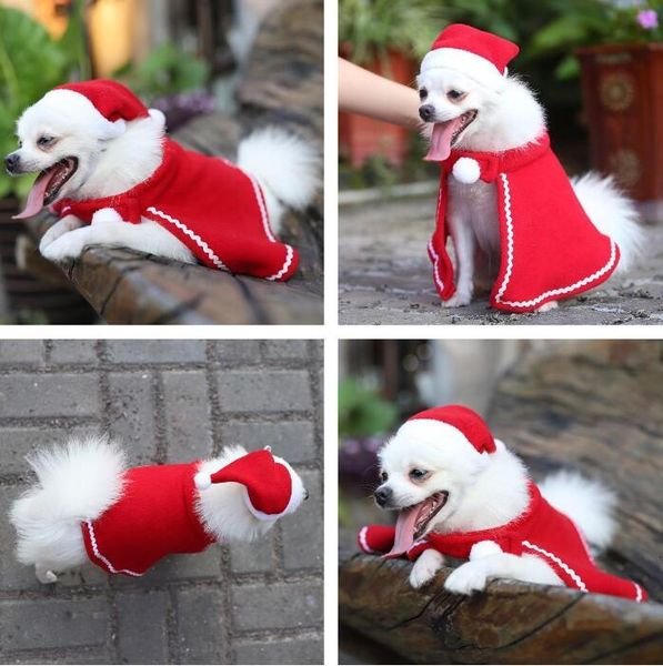 

warp sets teddy dog cloak full dress decor christmas pet hat cape suitdog apparel bwe