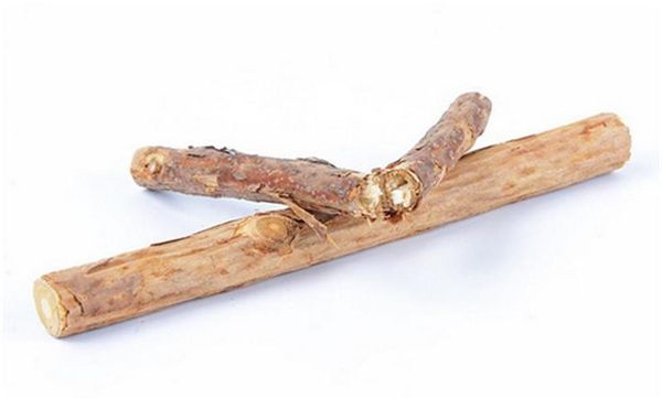 

cat care sticks pure teeth stick molar cleaning catnip actinidia pet silvervine snacks cat toothpaste tooth natural 5pcs sqcif bdenet