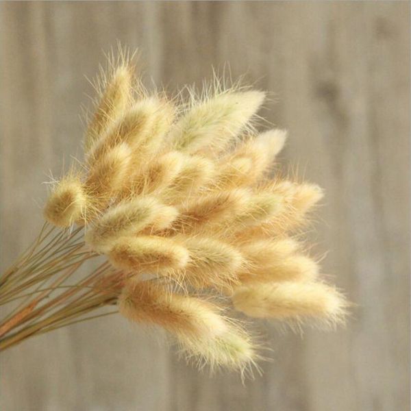 

30pcs/lot natural dried flowers rabbit tail grass bunch colorful lagurus ovatus real flower bouquet for home wedding de jllqsz