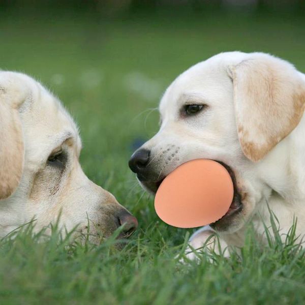 

pet dog toy chewing elastic bite toys dog cite simulation eggs bouncy ball toy chew training toys non-toxic rubber bite product3 wmtgew