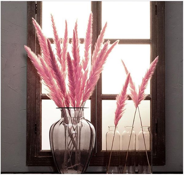 

7pcs bulrush natural dried small pampas grass phragmites christmas home decor diy dried real flowers bouquet flower arr jllqhw