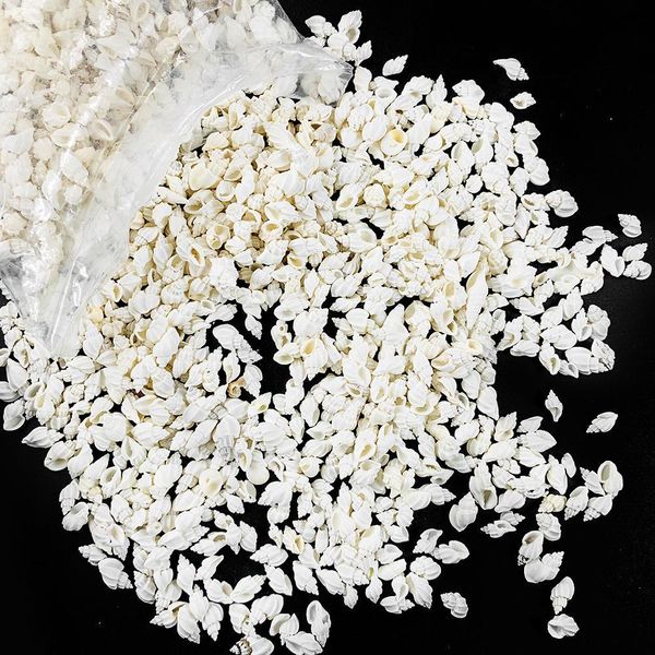 

100g natural white conch shell aquarium fish tank landscape mini conch seashells diy nautical home decor specimen wedding decor h bbyfls