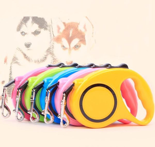 

pet matic retractable traction rope magic pet dog/cat puppy leash outdoor walking rope dog 5m portable leash bbydjs lg2010