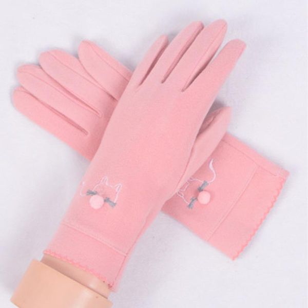 

five fingers gloves winter cashmere cute embroidery women' thin section plus velvet warm mittens spring windproof cycling driving e471, Blue;gray