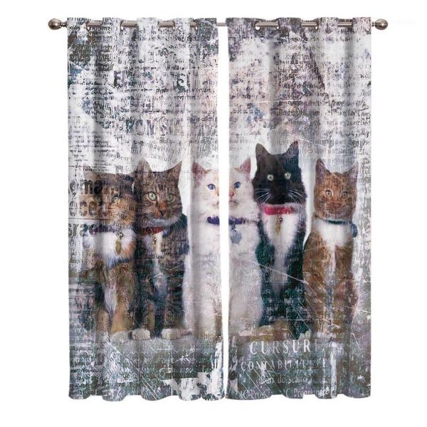 

curtain & drapes a cat on retro abstract background window living room kitchen outdoor indoor1
