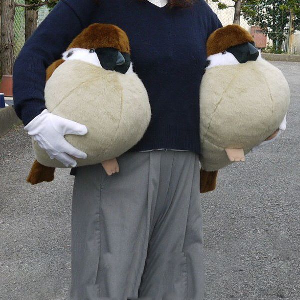 

38/32/45cm lifelike animal bird sparrow plush toys stuffed sparrow dolls pillow kid children baby toys boys girls birthday gift y200723